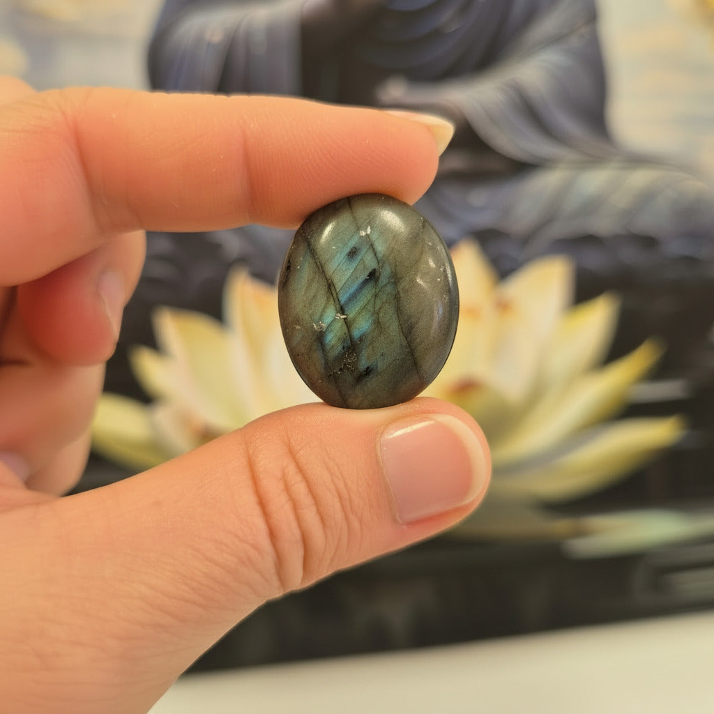 Hand holding a labradorite stone with a blurred plant in the background