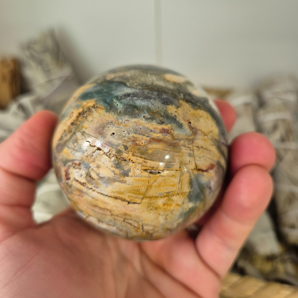 Hand holding a textured stone with a blurred background