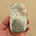 Hand holding a rock with crystals against a beige background