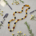 A beaded necklace made of polished  multi-toned amber beads, arranged on a beige surface with dried herbs and flowers