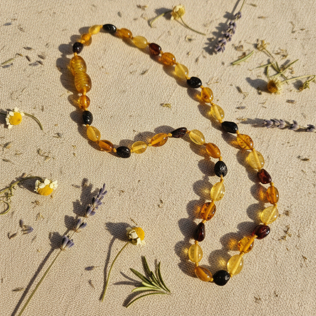 A natural Baltic amber beaded necklace  displayed on a beige surface with dried flowers and herbs
