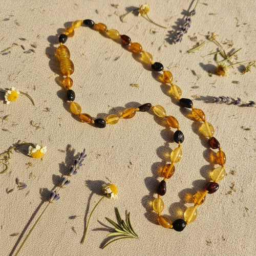 A natural Baltic amber beaded necklace  displayed on a beige surface with dried flowers and herbs