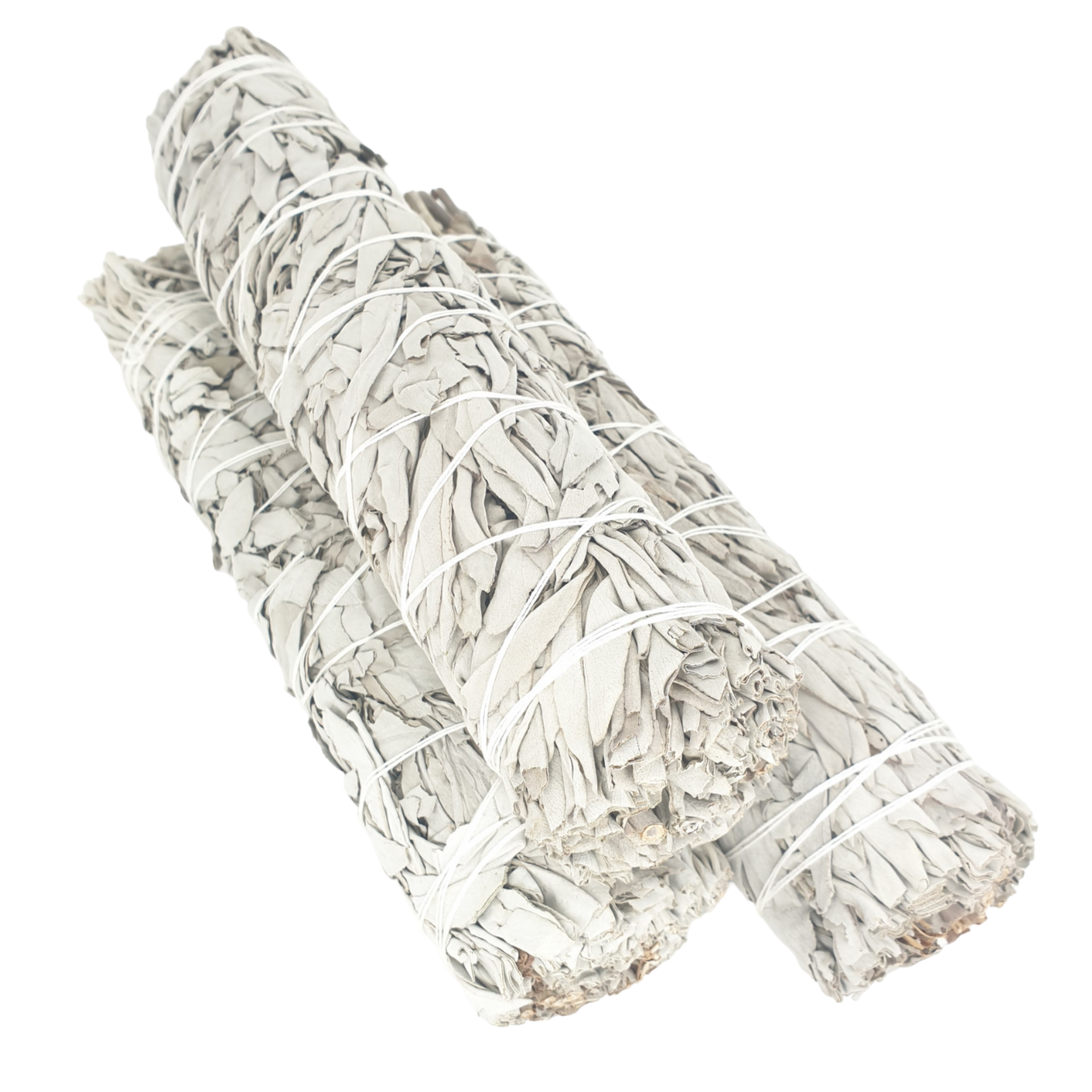 Bundled sage smudge stick on a white background